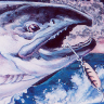 King Salmon: The Big Catch