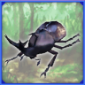 Beetle King