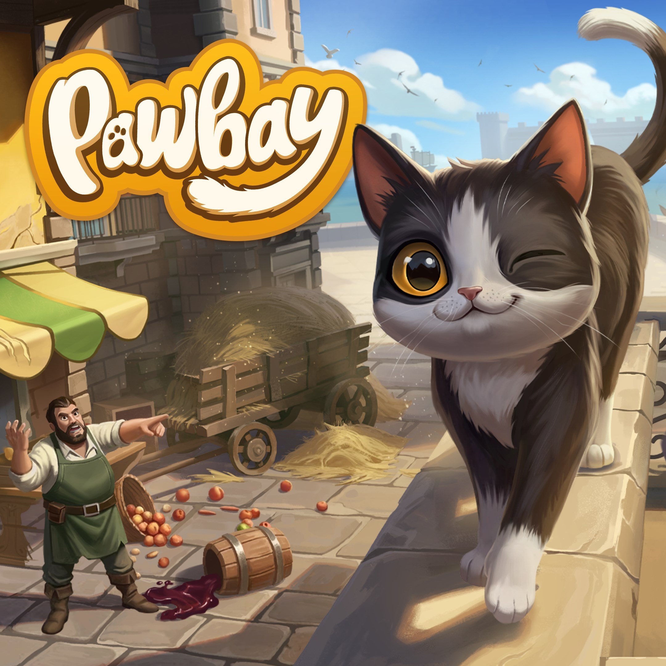 Boxart for Pawbay