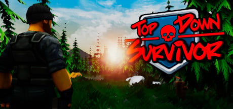 Boxart for Top Down Survivor