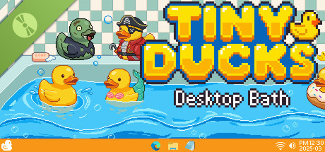Boxart for Tiny Ducks: Desktop Bath Demo