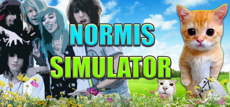 Normis Simulator