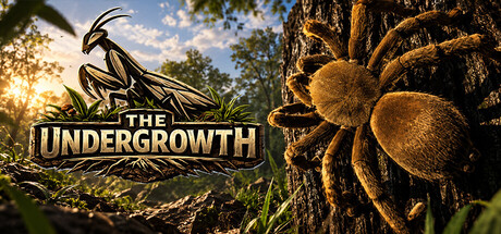 The Undergrowth