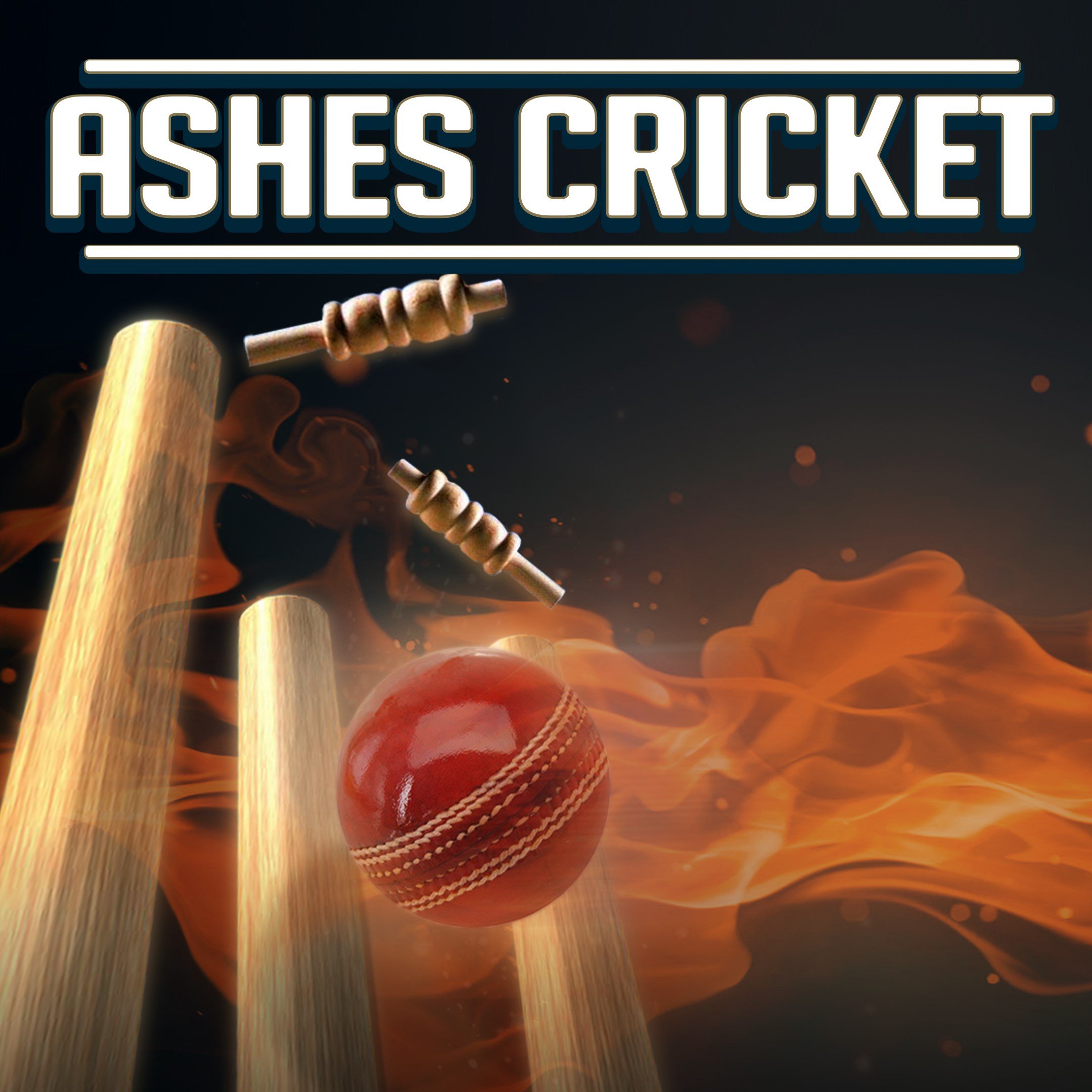 Boxart for Ashes Cricket
