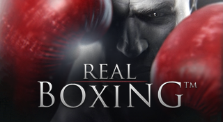 Real Boxing™