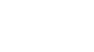 F1 2011™