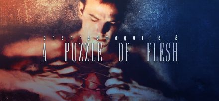 Phantasmagoria 2: A Puzzle of Flesh