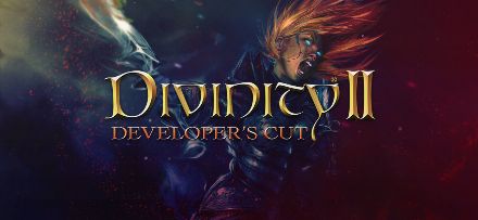 Boxart for Divinity 2: Developer's Cut
