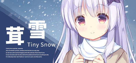 Boxart for Tiny Snow