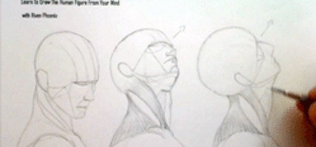 Complete Figure Drawing Course HD: 118 - The Muscles of The Human Neck - Part 9