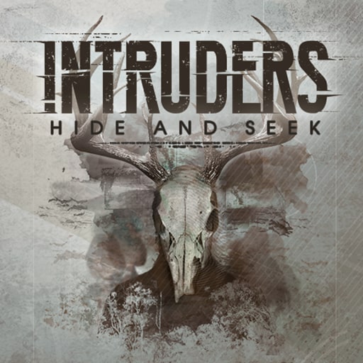 Intruders: Hide and Seek