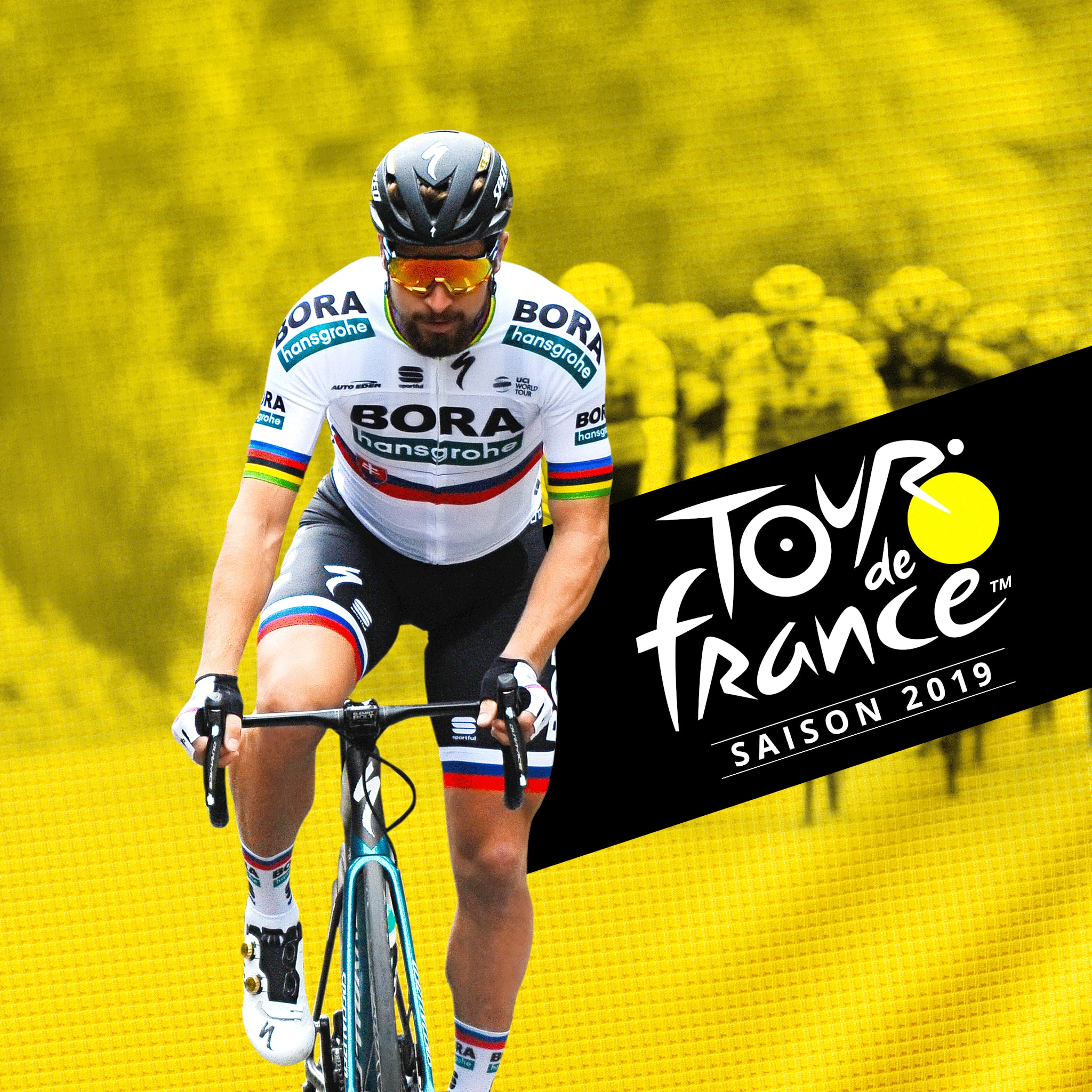 Boxart for Tour de France 2019