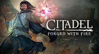 Citadel: Forged With Fire