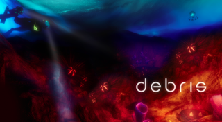 Debris