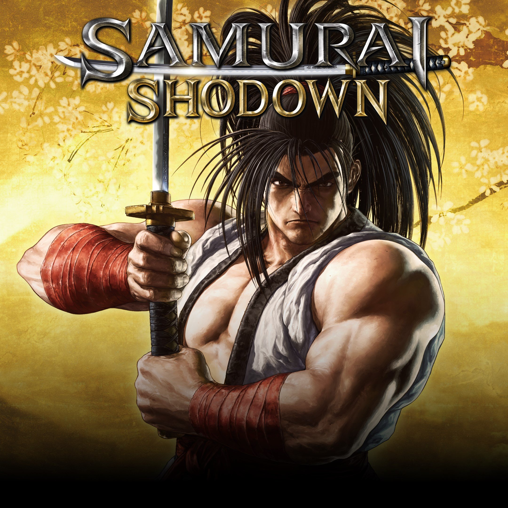 Boxart for SAMURAI SHODOWN