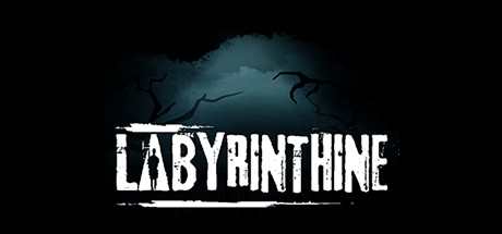 Boxart for Labyrinthine
