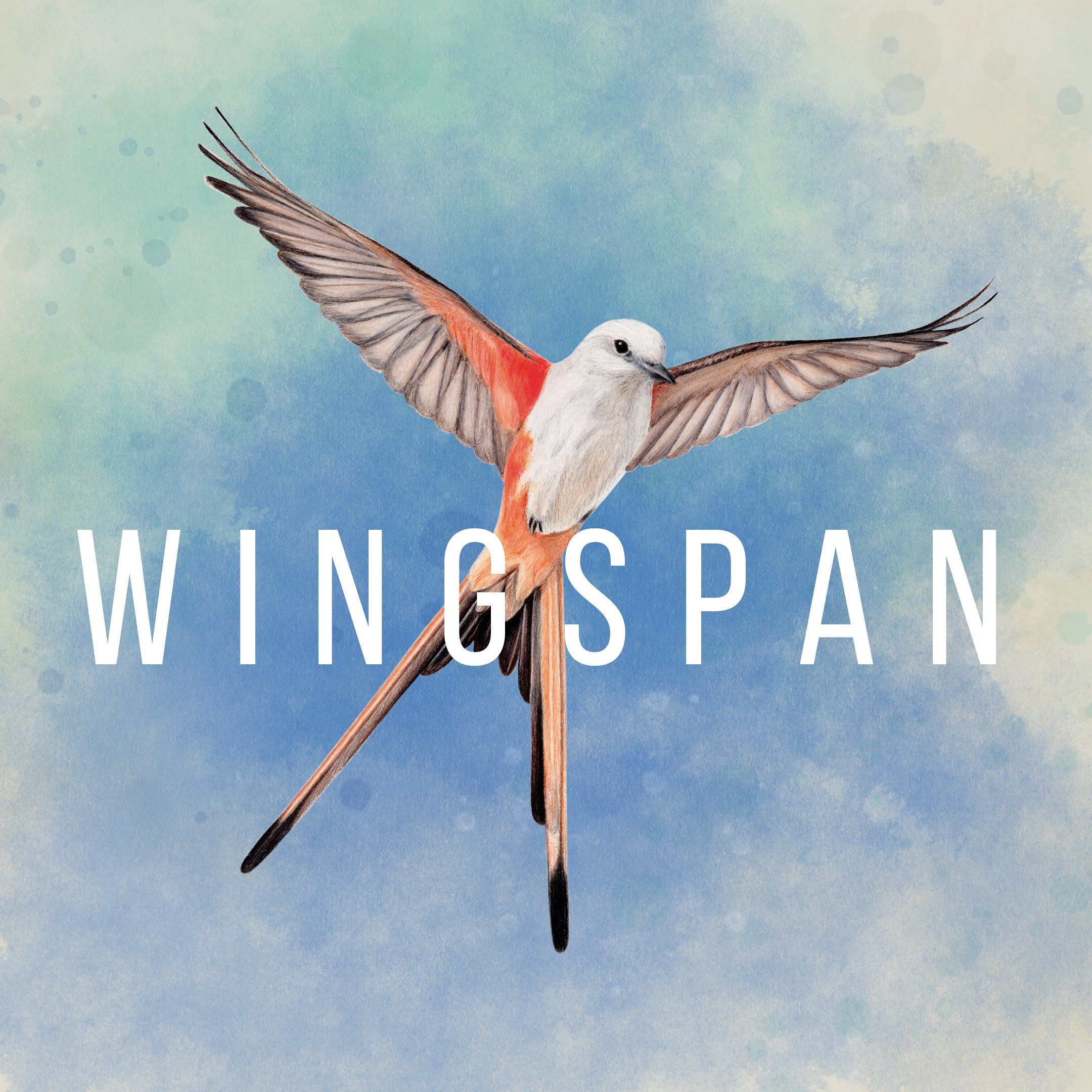 Wingspan