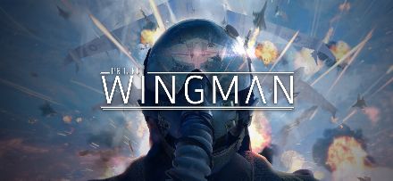 Project Wingman