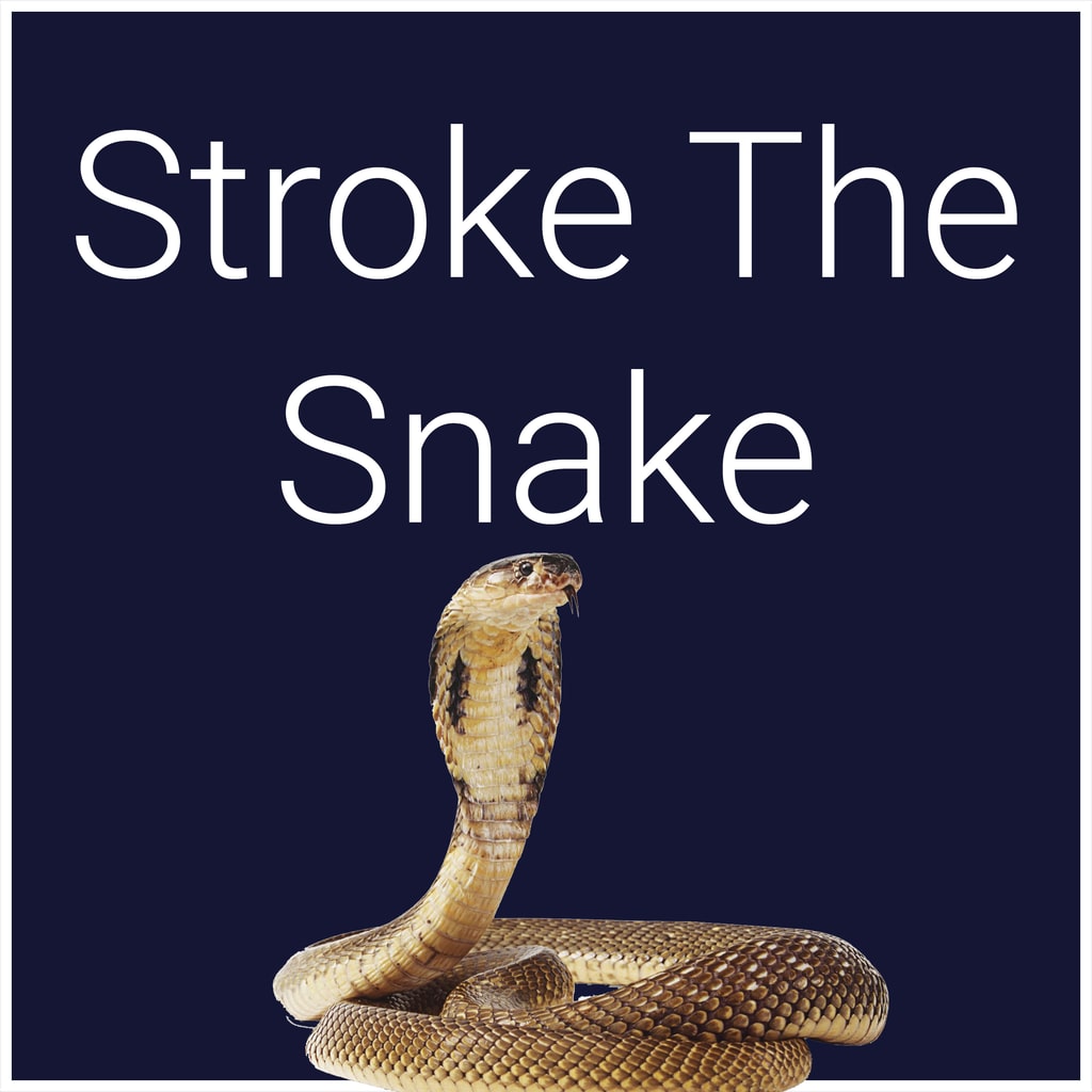 Stroke The Snake