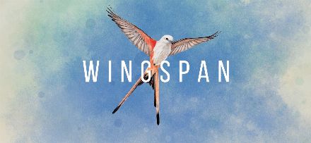 Boxart for Wingspan