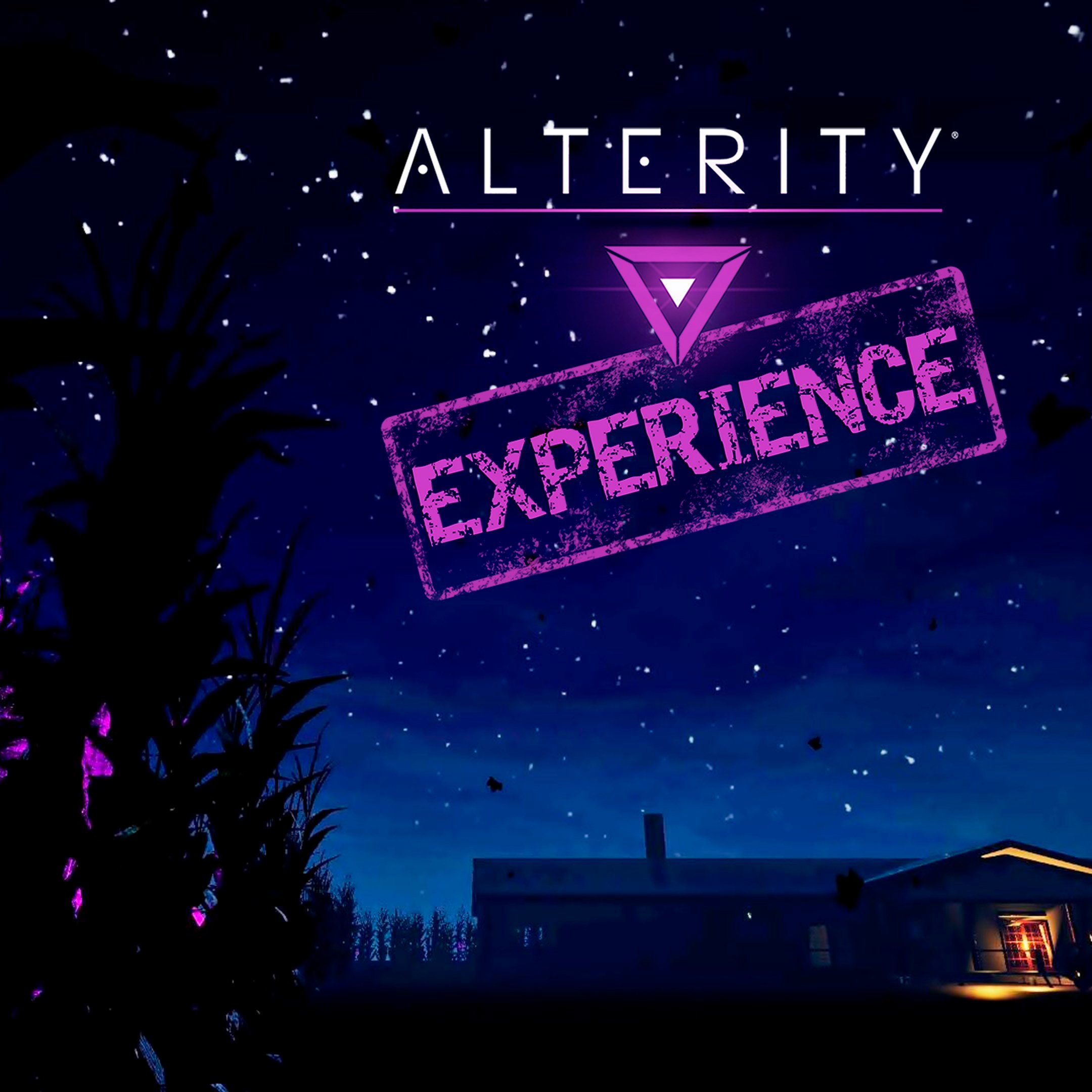 Alterity Experience