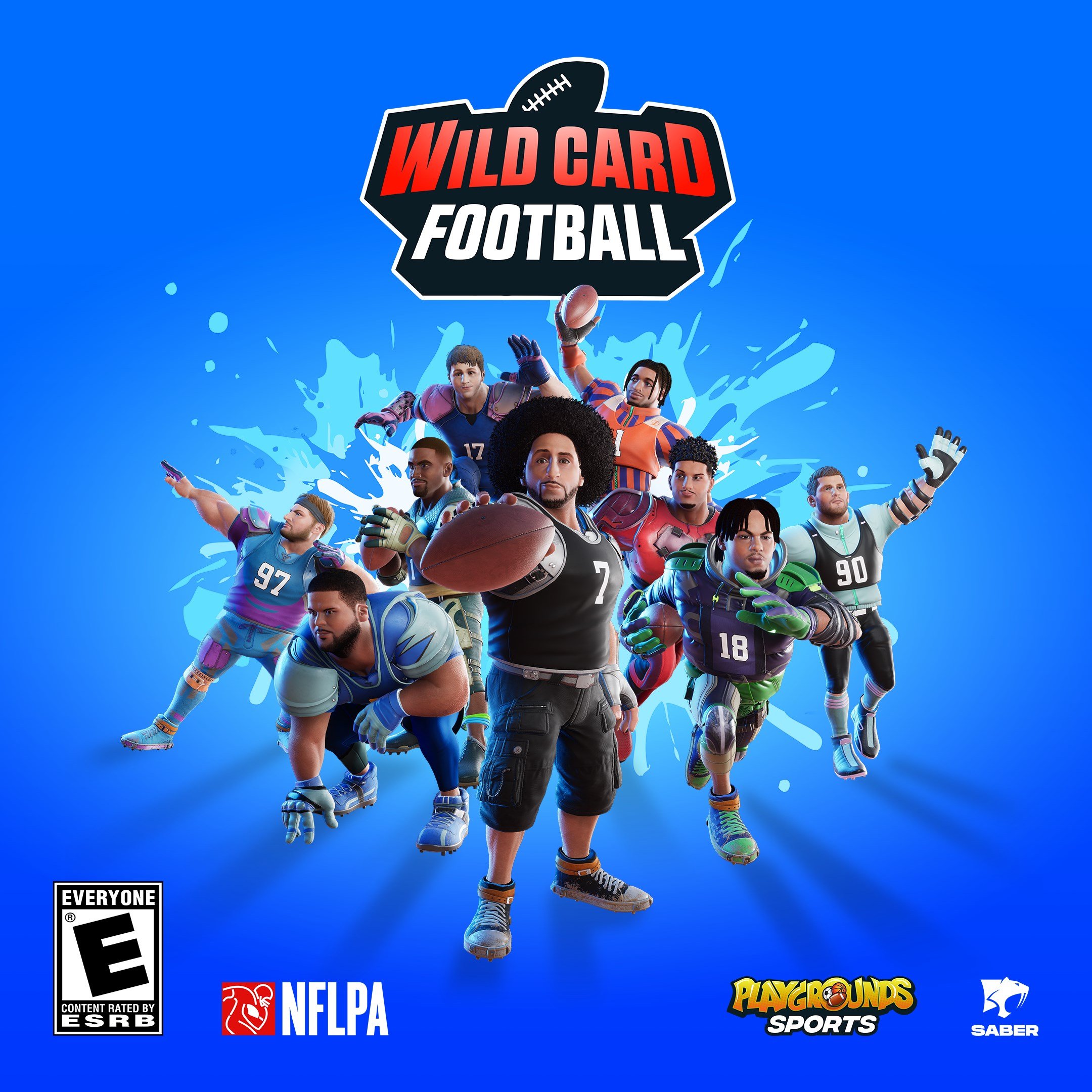 Boxart for Wild Card Football