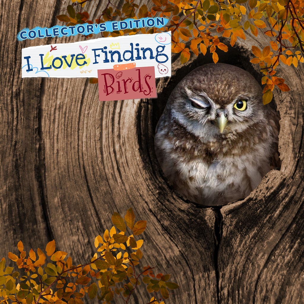 Boxart for I Love Finding Birds
