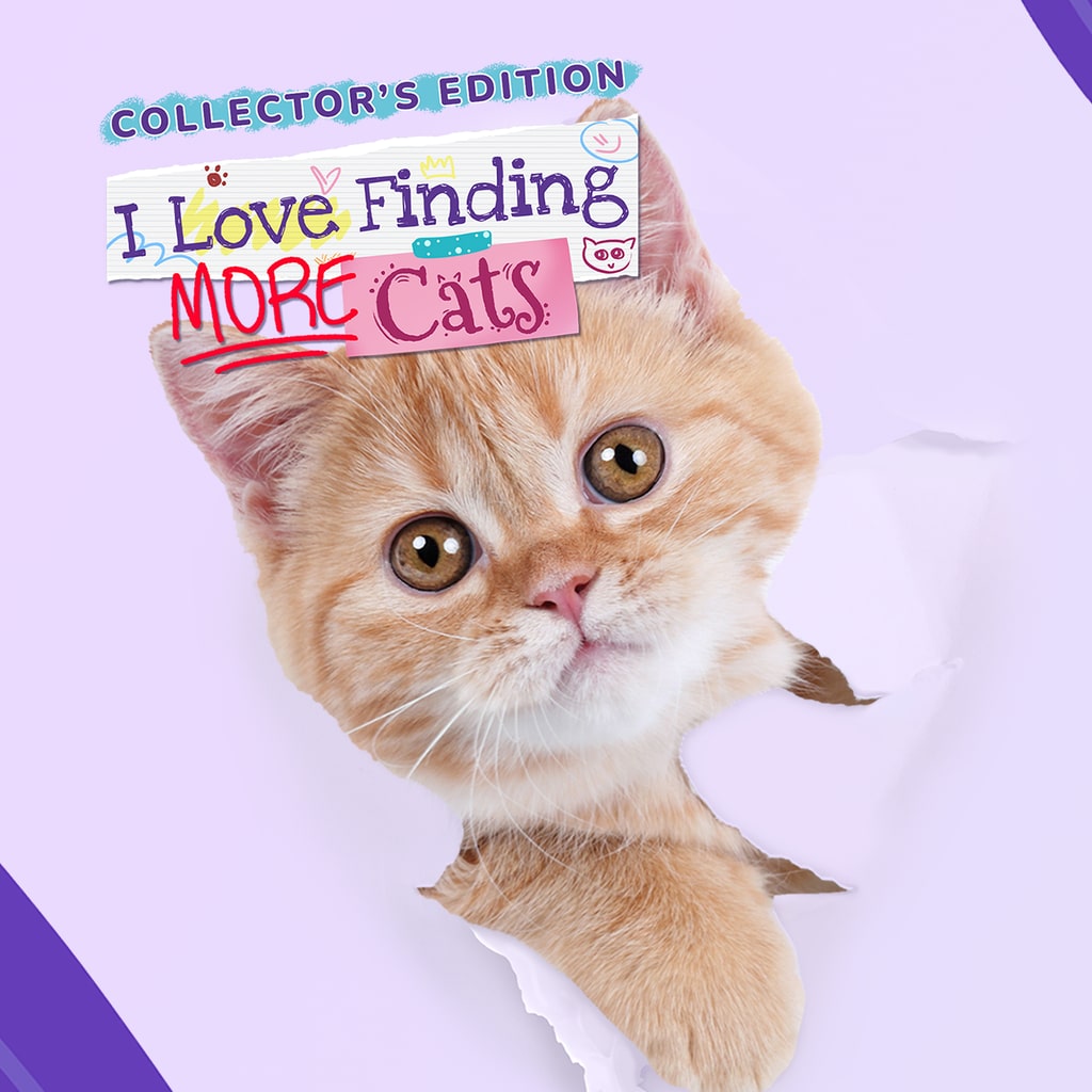 I Love Finding More Cats