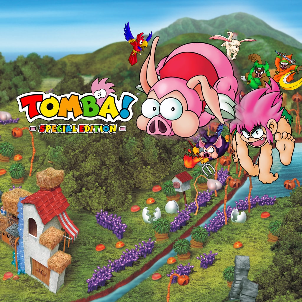 Boxart for Tomba! Special Edition