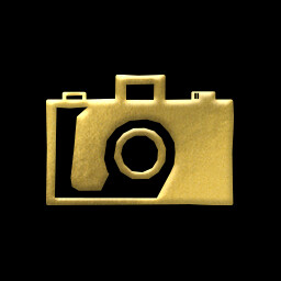 'Shutterbug' achievement icon