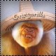 Gringorilla's Avatar
