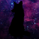 LadyNyoko's Avatar